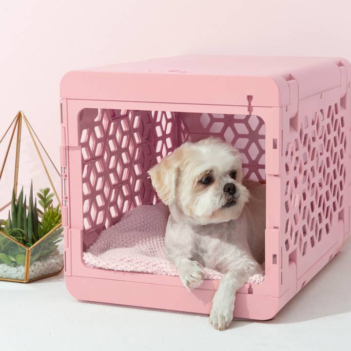 KindTail - Wholesale Pet Carrier - Dog - Small Pawd® | Modern Collapsible Plastic Dog & Pet Crate (To15
