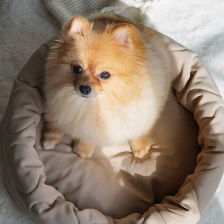 Lambwolf Collective - Wholesale Pet Bed - Dog - TAART//DOG BED4