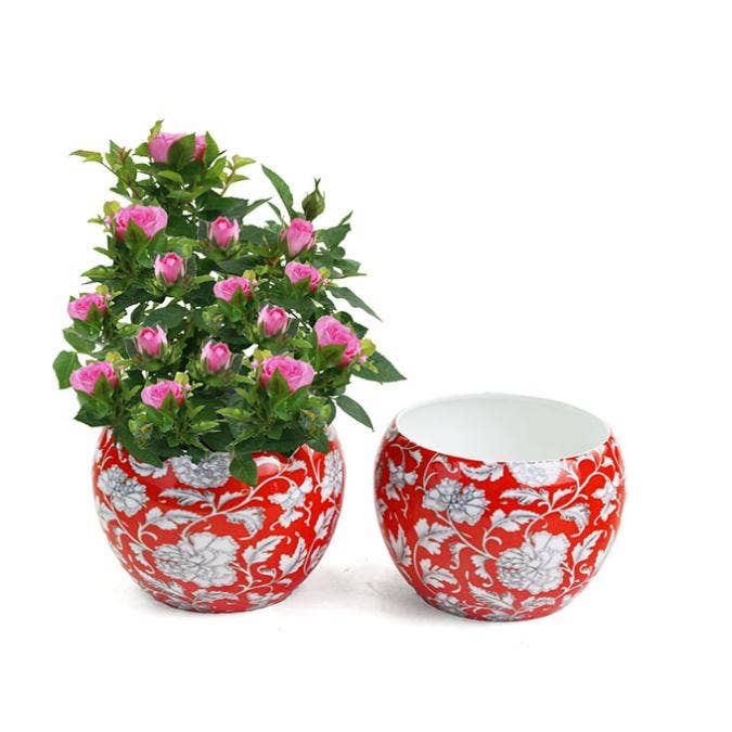 Buhi Imports - Wholesale Plant Pot - Metal Red Print waterproof 5 inch x 4 inch2