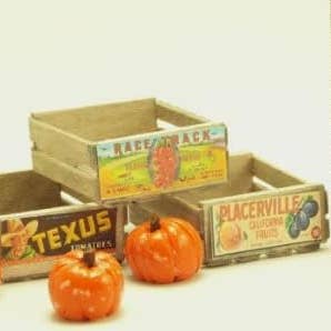 Cargo-To-Go: Vintage Fruit Crates and Pumpkin Set - 101-0914 for wholesale on Faire5