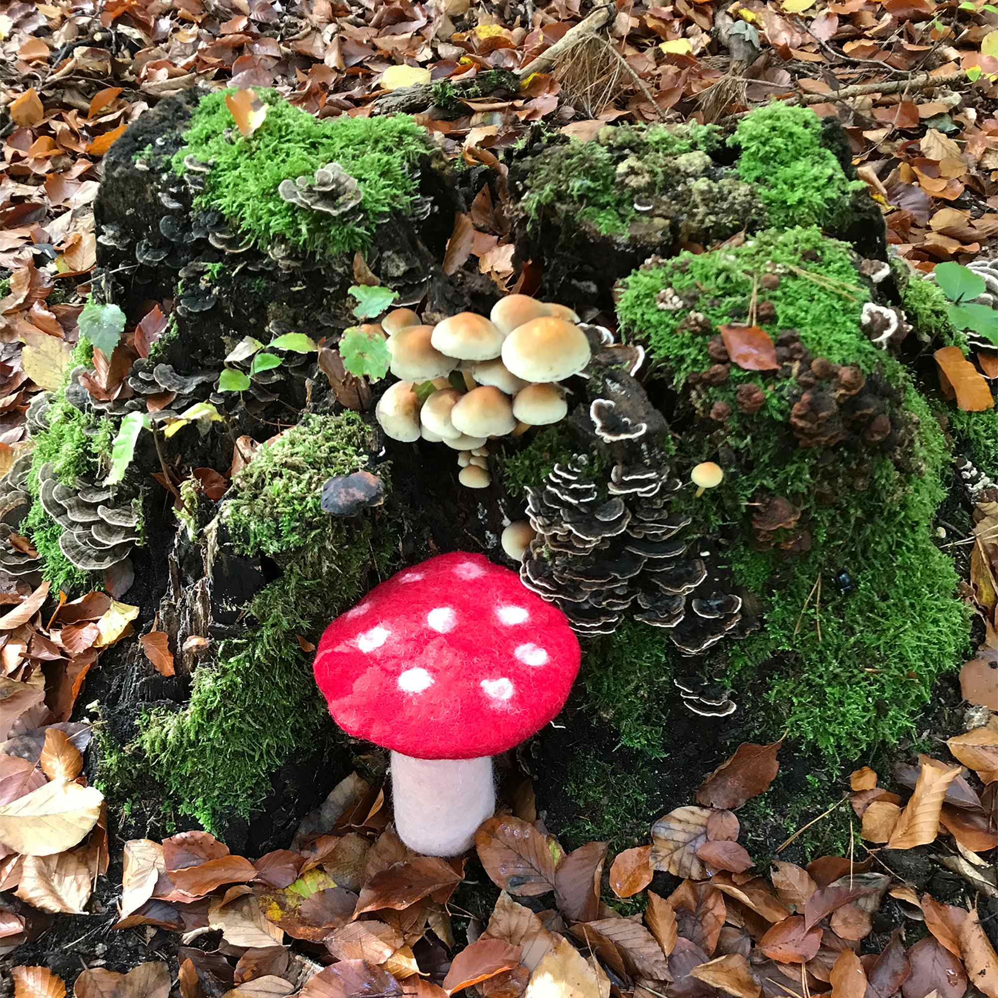 Tribal Trade GmbH - Vendita all'ingrosso Statuette decorative - Fungo amanita muscaria in feltro rosso, disponibile in 3 dimensioni3