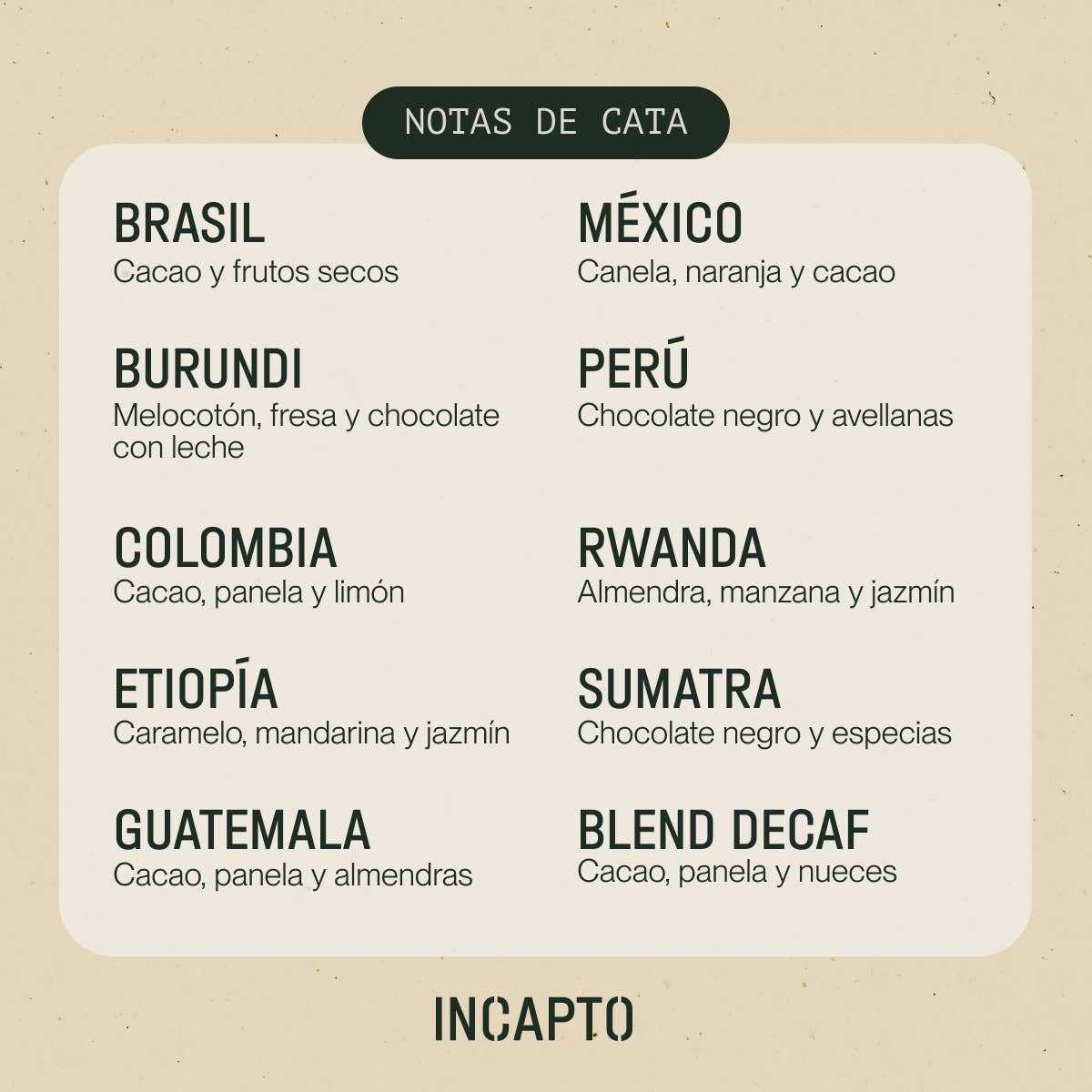 INCAPTO COFFEE - Wholesale Coffee Beans - Specialty Bean Coffee - WORLDWIDE Tasting Pack2