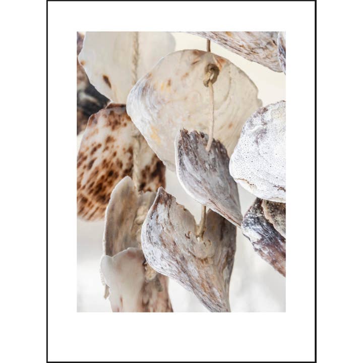 Polaroid con conchas para venta al por mayor de GM decoratie