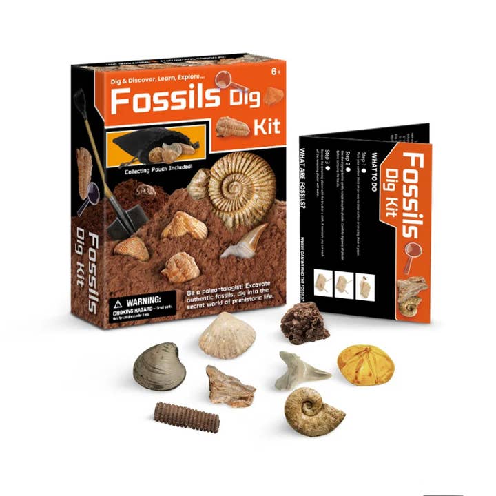 Earth's Gems Boutique - Wholesale Toy Set - Kids - Kid's Rocks and Minerals Mining Kit - Learning Game Set5