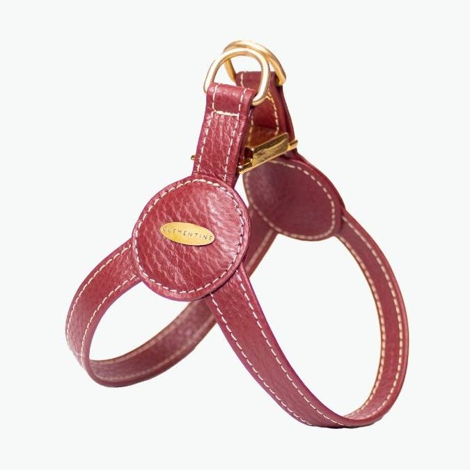 Devon Harness - BURGUNDY, Medium voor wholesale door Clementine est dogs