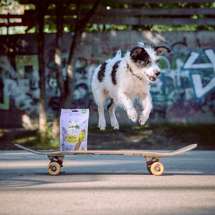 VEGDOG - Wholesale Pet Treats - Dog - MOBILITIES 115g
