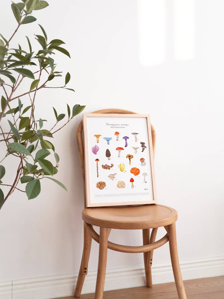 Svampe, kunsttryk for engroshandel hos Hobeika Art