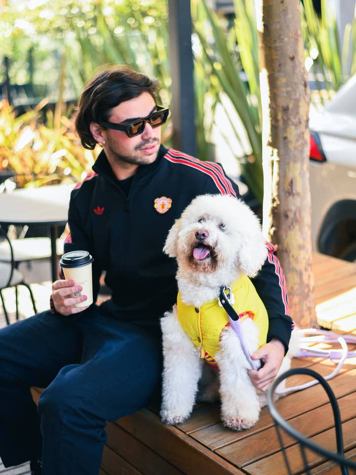 Le Puffer - Orange & Gul för wholesale av PET FANGZ