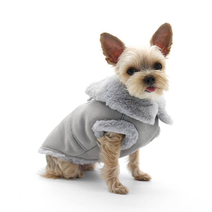 Dogo Pet - Wholesale Pet Coat - Dog - Furry Runner Coat17
