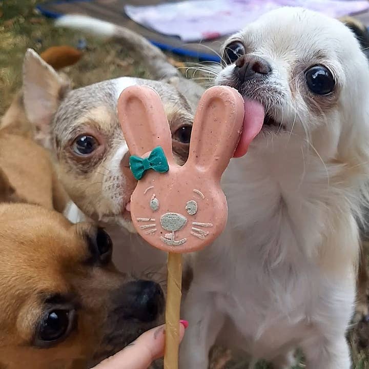 Manufaktur Sweet Crunchy Bit® Handmade DogFood 🐾 - Venta al por mayor Chuches - Perros - Conejo de caramelo
