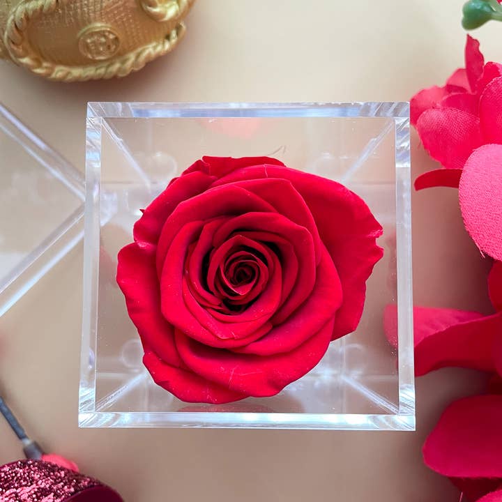 The Little bloom box - Wholesale Artificial Flowers - 1 Rose Crystal Acrylic Square Box1