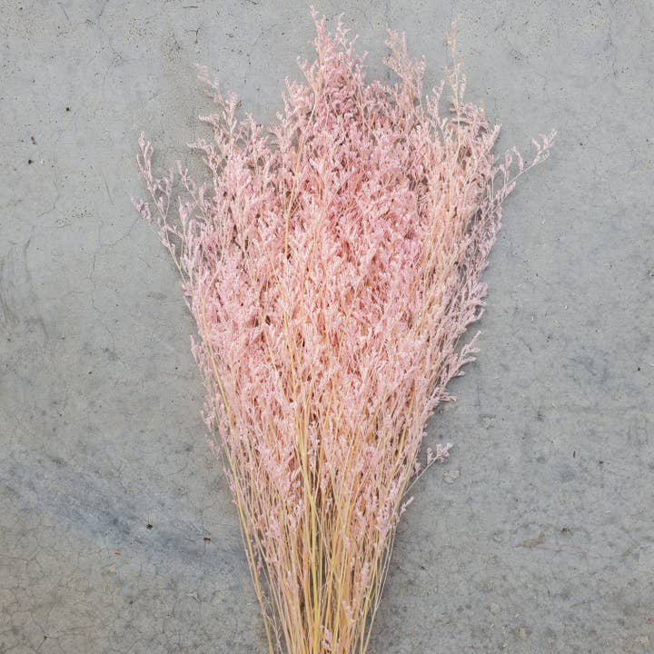 Flores preservadas de Limonium Caspia - Champagne melocotón (041) para venta al por mayor de BLOOMINGFUL.COM