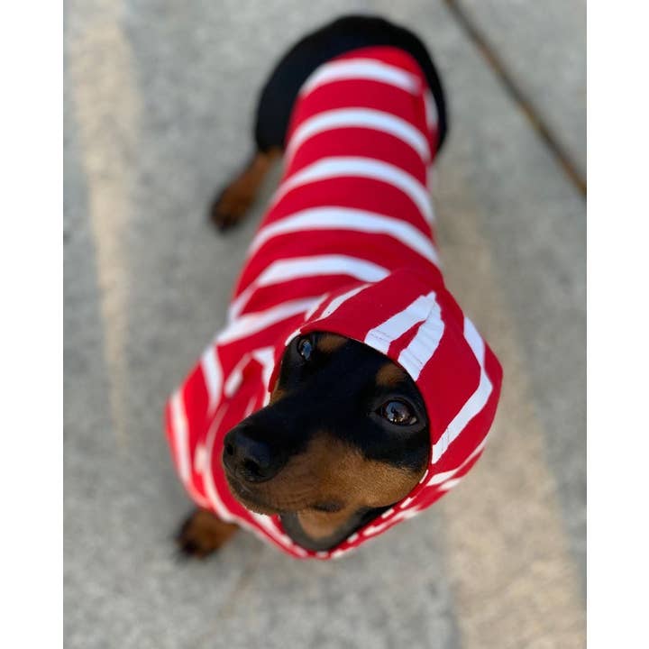 DJANGO - Wholesale Pet Hoodie - Dog - Dog Hoodie - Red2