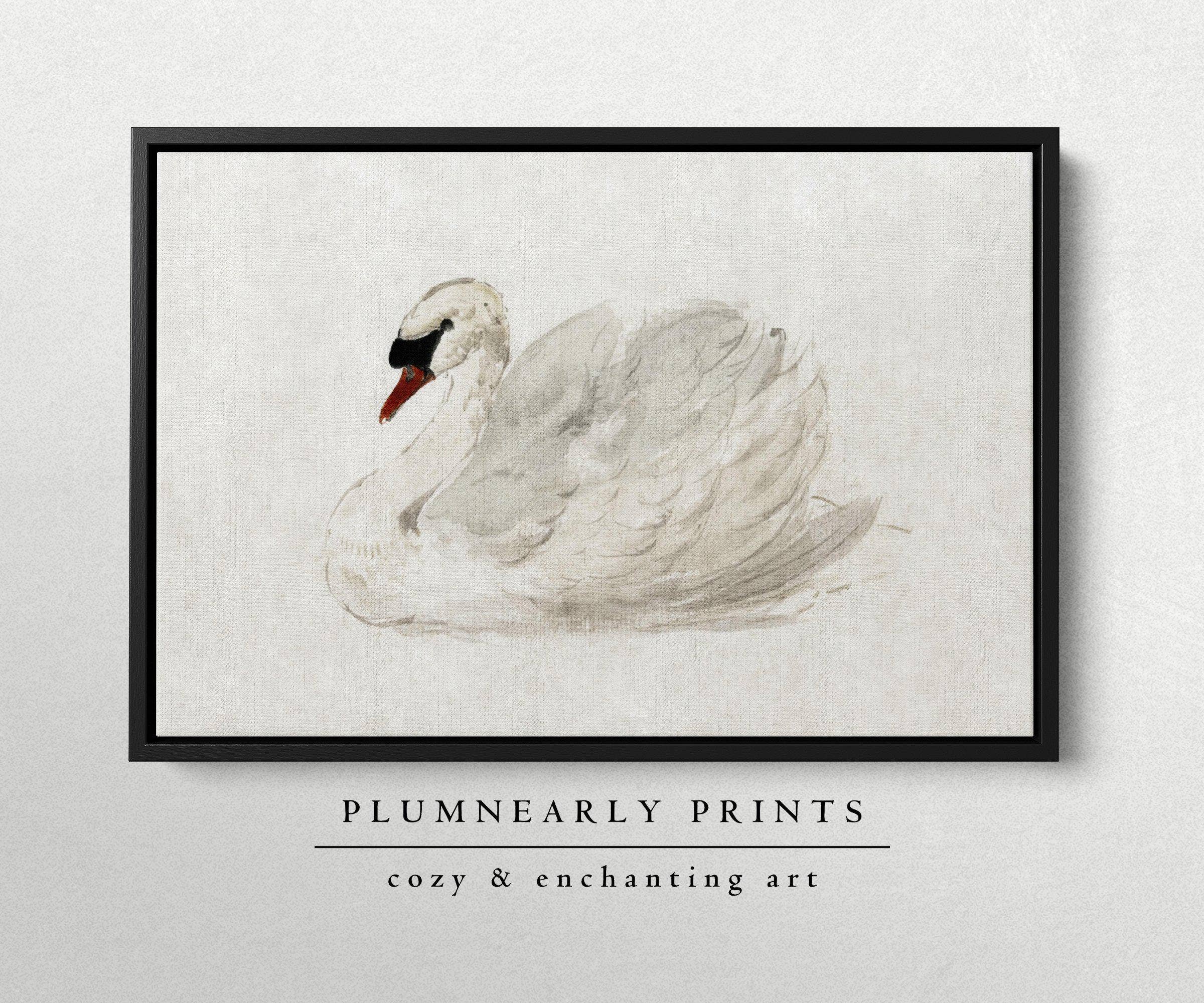 Plumnearly Prints - Wholesale Canvas Art - White Swan Neutral Watercolor Painting Framed Canvas Art 44