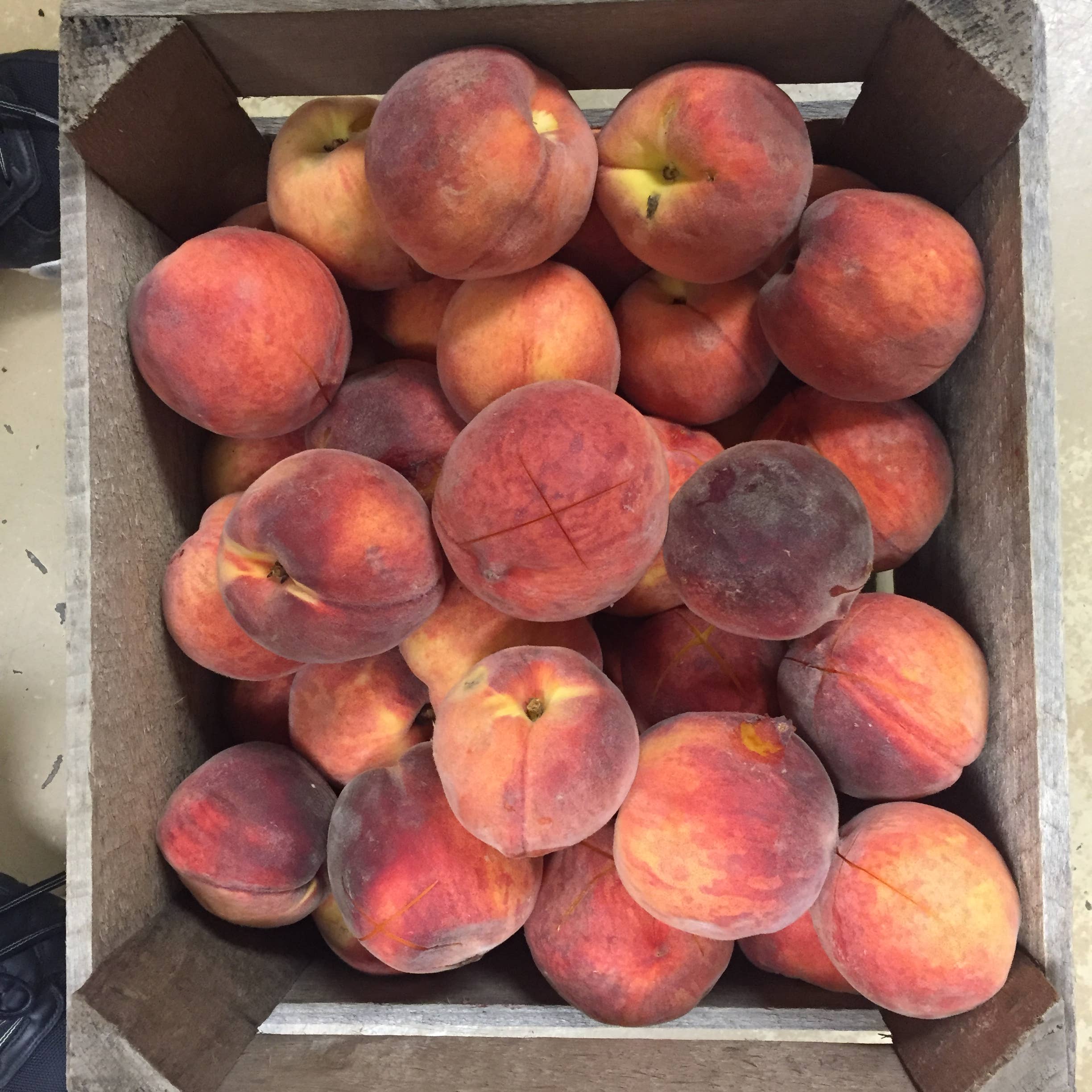 Eat This Yum - Wholesale Preserves -  Tipsy Peach Preserve 5