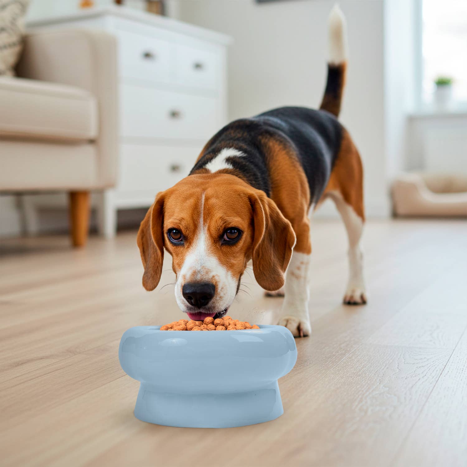Precious Tails - Wholesale Pet Bowl - Cat/Dog - Abstract bubble Shaped Stoneware Elevated Pet Bowl14