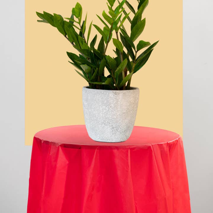 Smarty had a Party - Wholesale Disposable Table Cover/Runner - 84" Red Round Disposable Tablecloth - 1 pc6