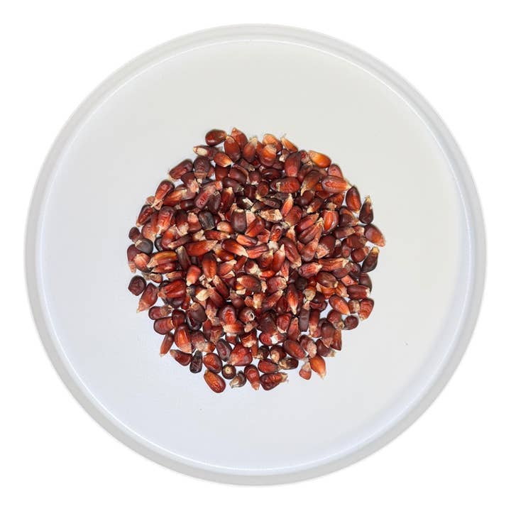 Sac en vrac de maïs rouge mexicain pour la vente par San Jose Produce & Imports LLc