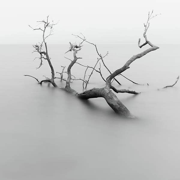 Minimalismo Metálico Impresión de Arte Fino MINI21 para venta al por mayor de Breaking Rules Photography