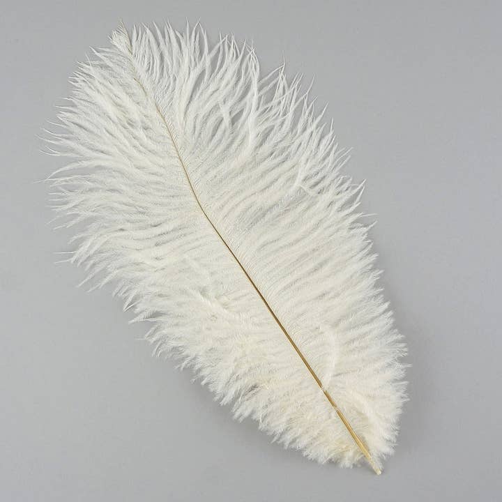 Ostrich Feathers 13-16" Drabs - Ivory for wholesale by Zucker Feather Products