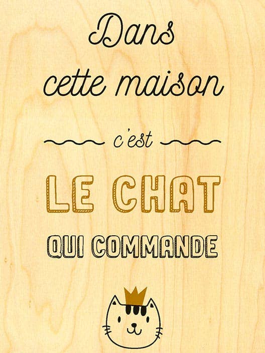 CARTA LEGNO HAPPY WOOD / GATTO CHE COMANDA per la vendita all'ingrosso da parte di Hironwoods