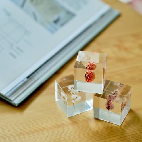 Sola cube - Wholesale Decorative Tabletop Object - Globe amaranth7