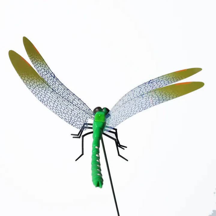 Dragonfly Wall Sticker for Home and Garden Decoration for wholesale by Good goods