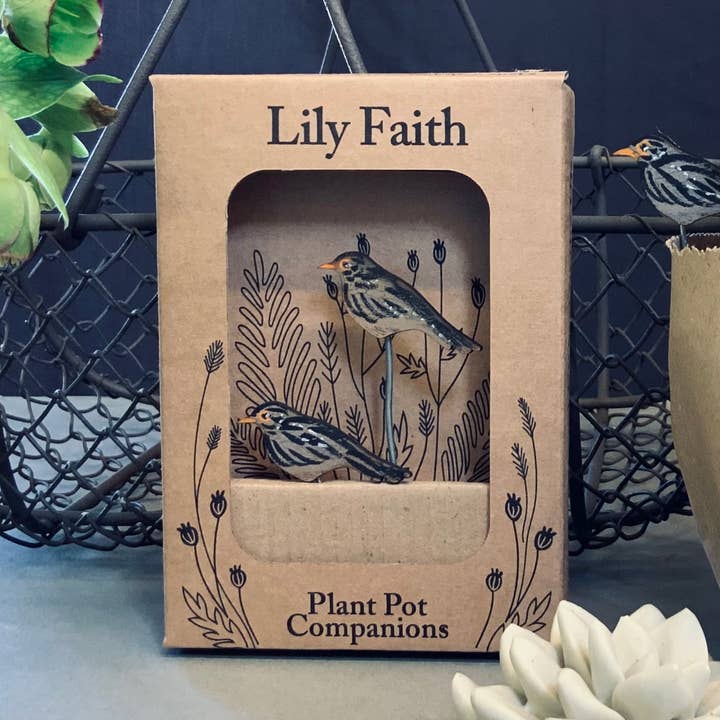 Companheiros de vaso de plantas Black Bird por atacado de Lily Faith