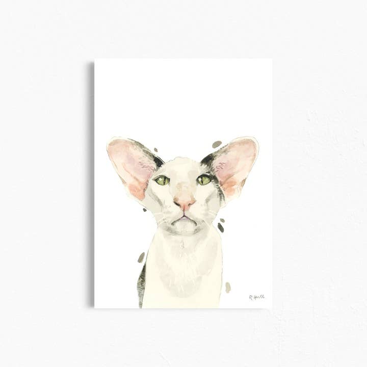 Robert James Hull - Wholesale Art Print - Oriental Shorthair Cat A4/Letter Print Gifts for Child