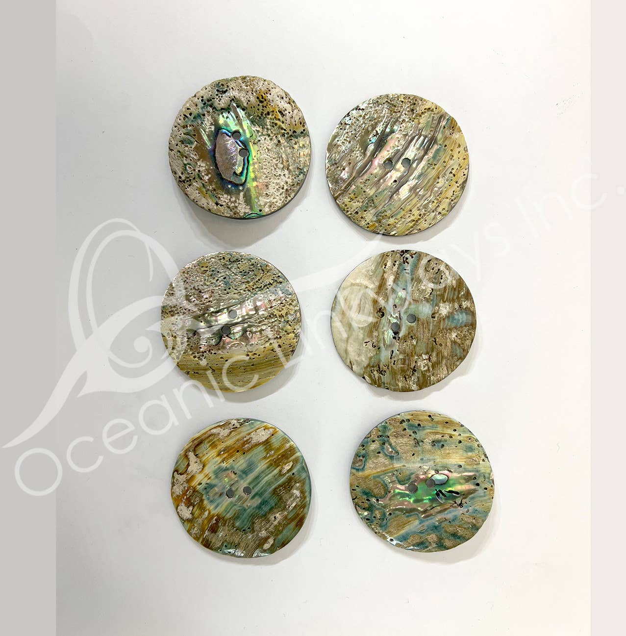 Oceanic Linkways Inc - Wholesale Spiritual Stone/Crystal - (PC)BUTTONS - ABALONE SHELL 2"DIA