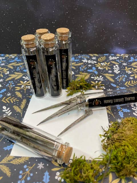 Honey Locust Thorns for wholesale by Vampire Unicorns