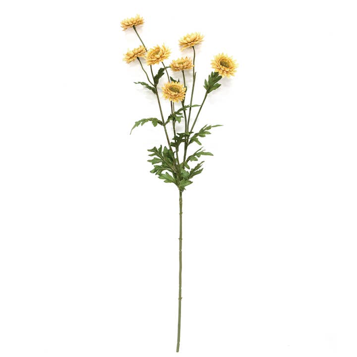Autumn Leaves Strawflower Spray, 25" for wholesale by Saybrook Lane