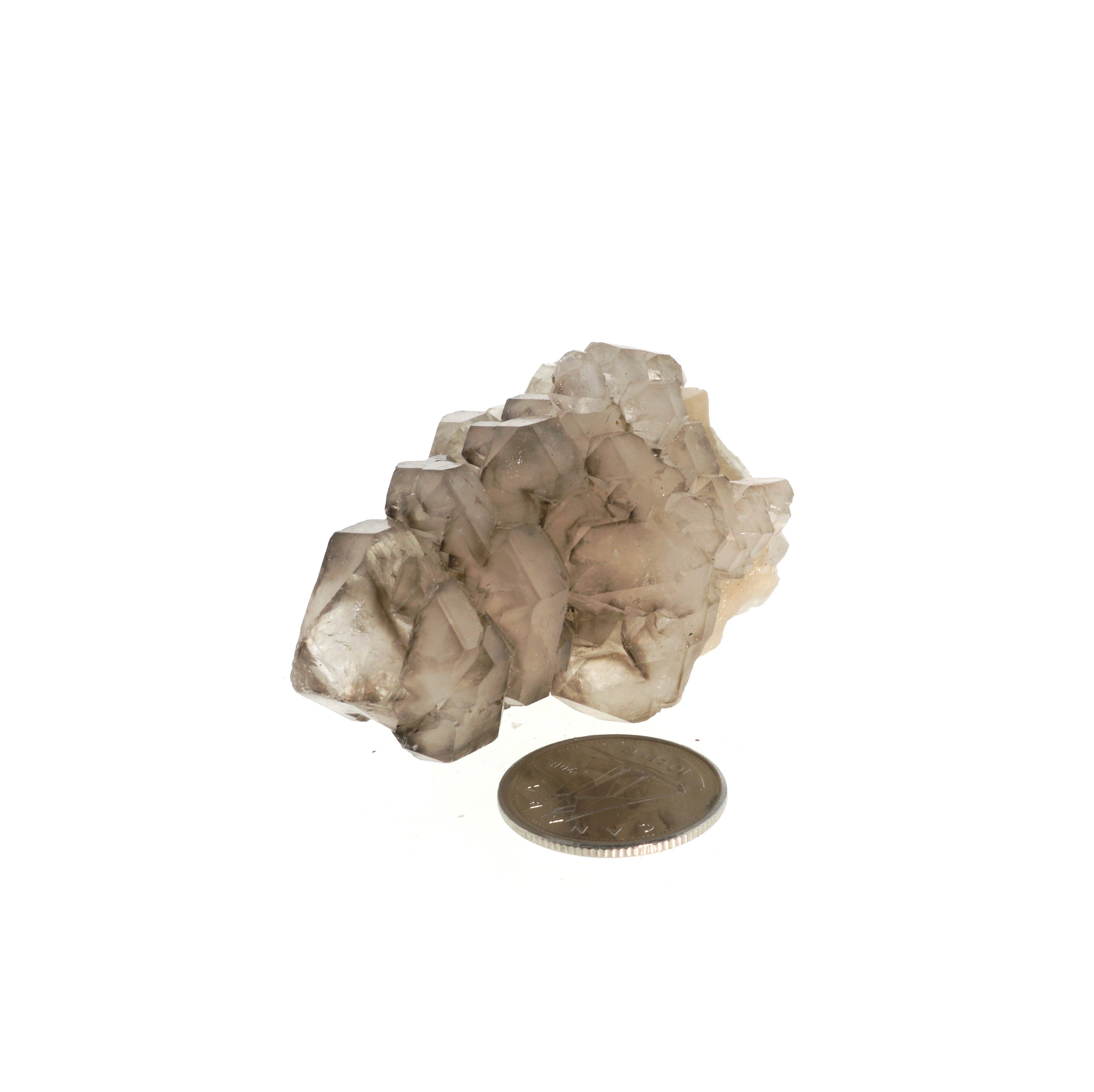 Stonebridge Imports – wholesale Andlig sten/kristall – Kluster av rökkvarts elestial #16