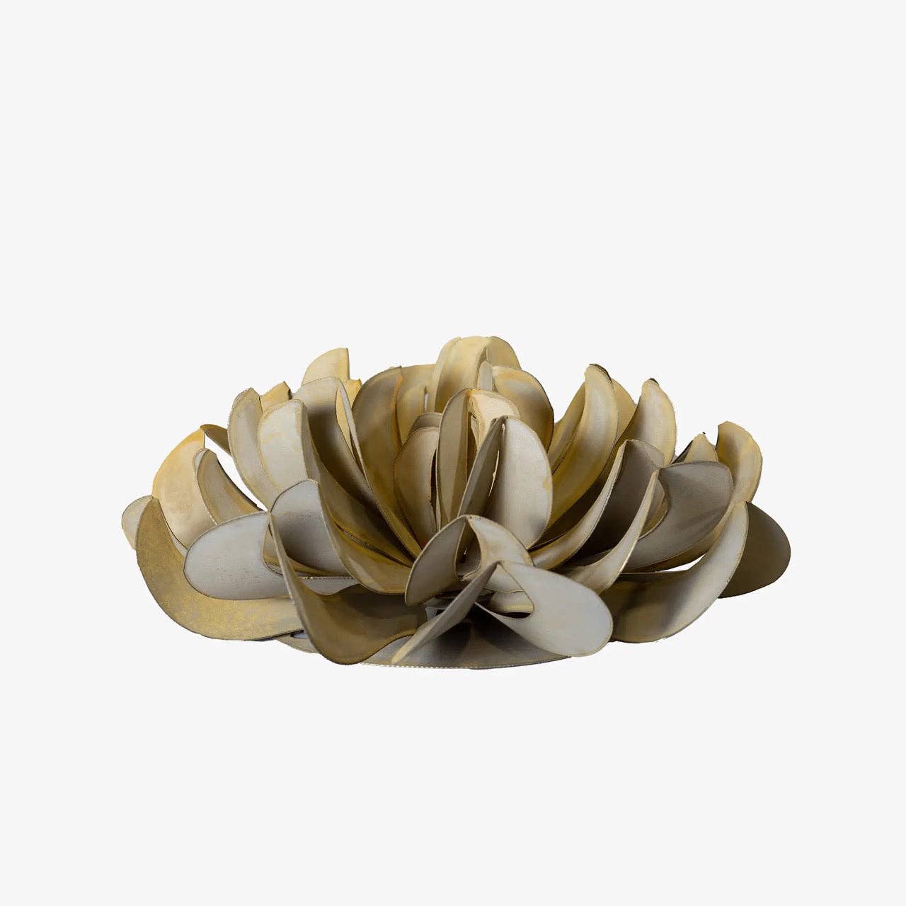 Desert Steel - Vente Plantes artificielles - Succulente Topsy Turvy1