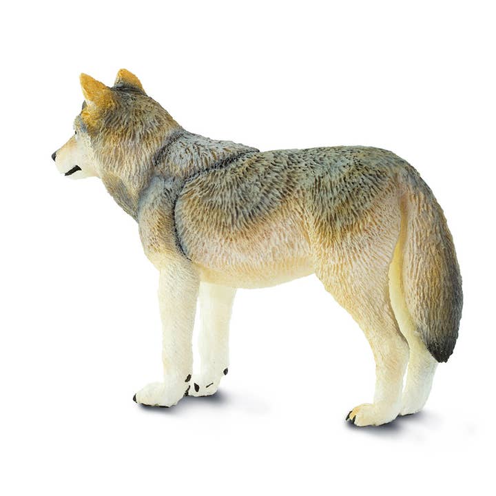 Safari Ltd. - Wholesale Figurine Toy - Kids - Gray Wolf - 1005091