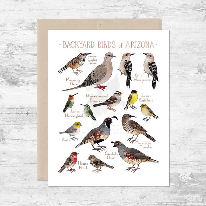 Backyard Birds of Arizona Note Card for wholesale by Kate Dolamore Art