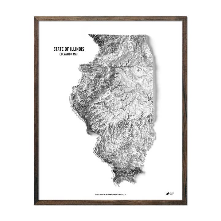 Carte d'altitude de l'Illinois pour la vente par Muir Way