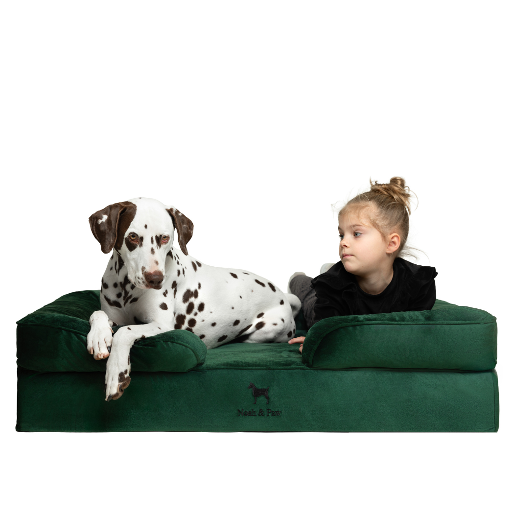 NOAH AND PAW LLC - Wholesale Bed voor huisdieren- Kat/hond - Velvet orthopedisch hondenbed met memoryfoam en verkoelende gel3