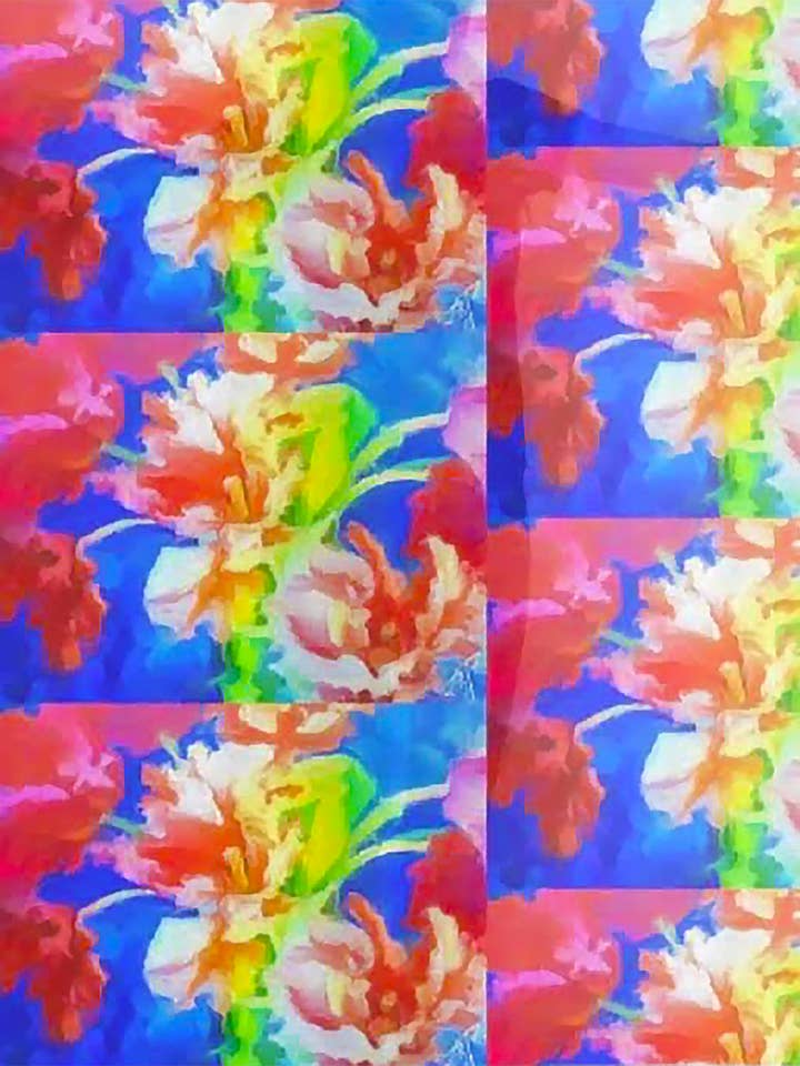 Bufanda/pareo de gasa «Kori's Bouquet» para venta al por mayor de Lady Barbara Pinson Artist