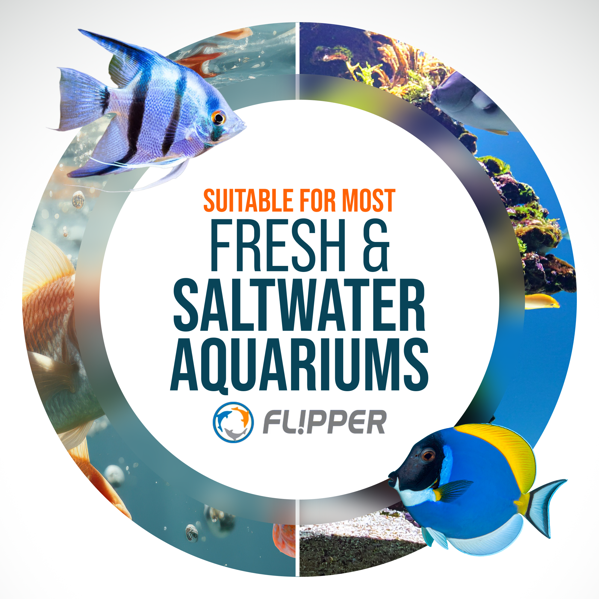 Flipper Aquarium Products - Wholesale Garden Tool - Flipper Platinum NANO Credit Card Algae Scraper6