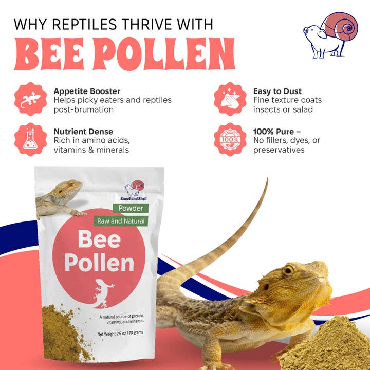 Snout and Shell - Wholesale Pet Supplement - Not Cat/Dog - Bee Pollen Powder for Reptiles - 2.5 oz1