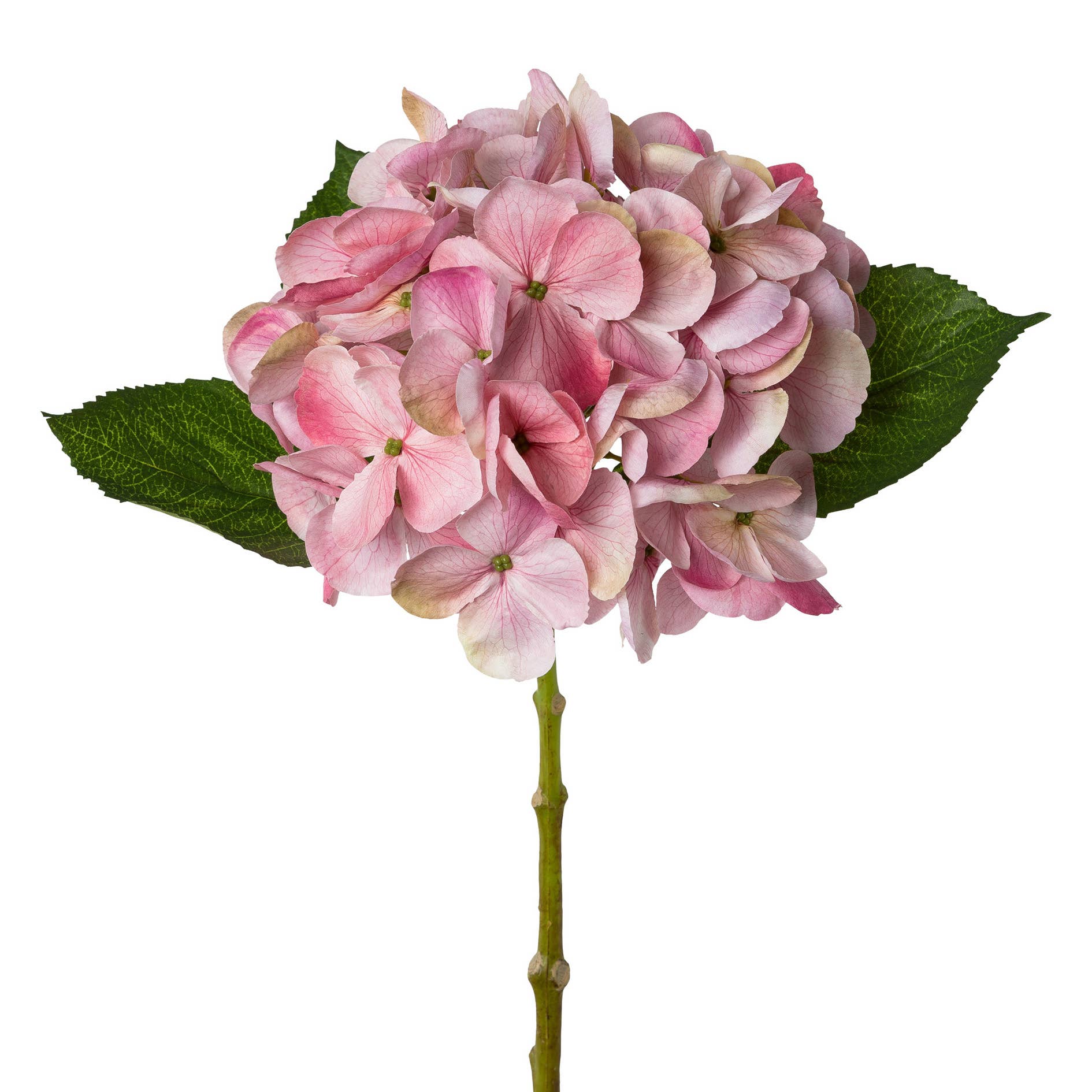 GASPER GmbH – Flores artificiais por atacado – Hortênsia rosa antigo, 48 cm0