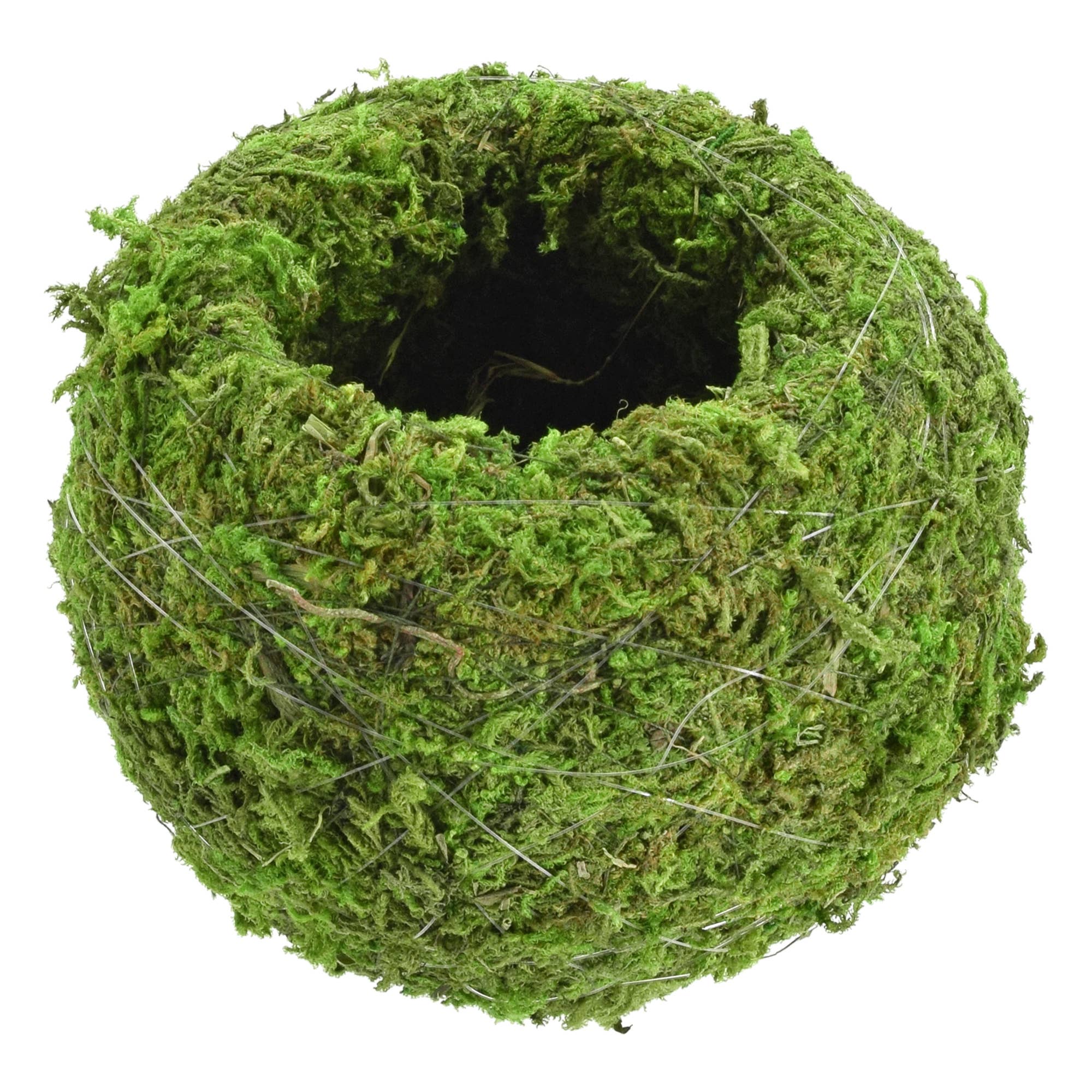 Arcadia Garden Products - Wholesale Live Plant - Kokedama 4.0 x 3.5"0