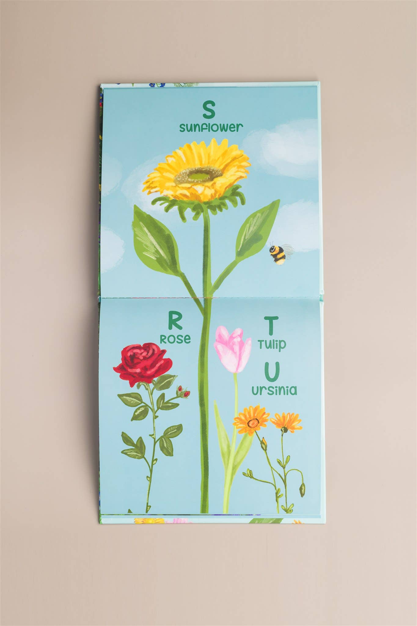 Rebecca Jimenez - Wholesale Preschool Book (3-5) - A Bee Sees the ABC's Hardback Children's book2