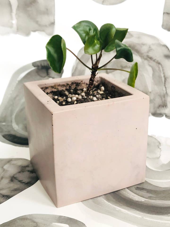 Medium Square Concrete Planter for wholesale by Known Goods Co.