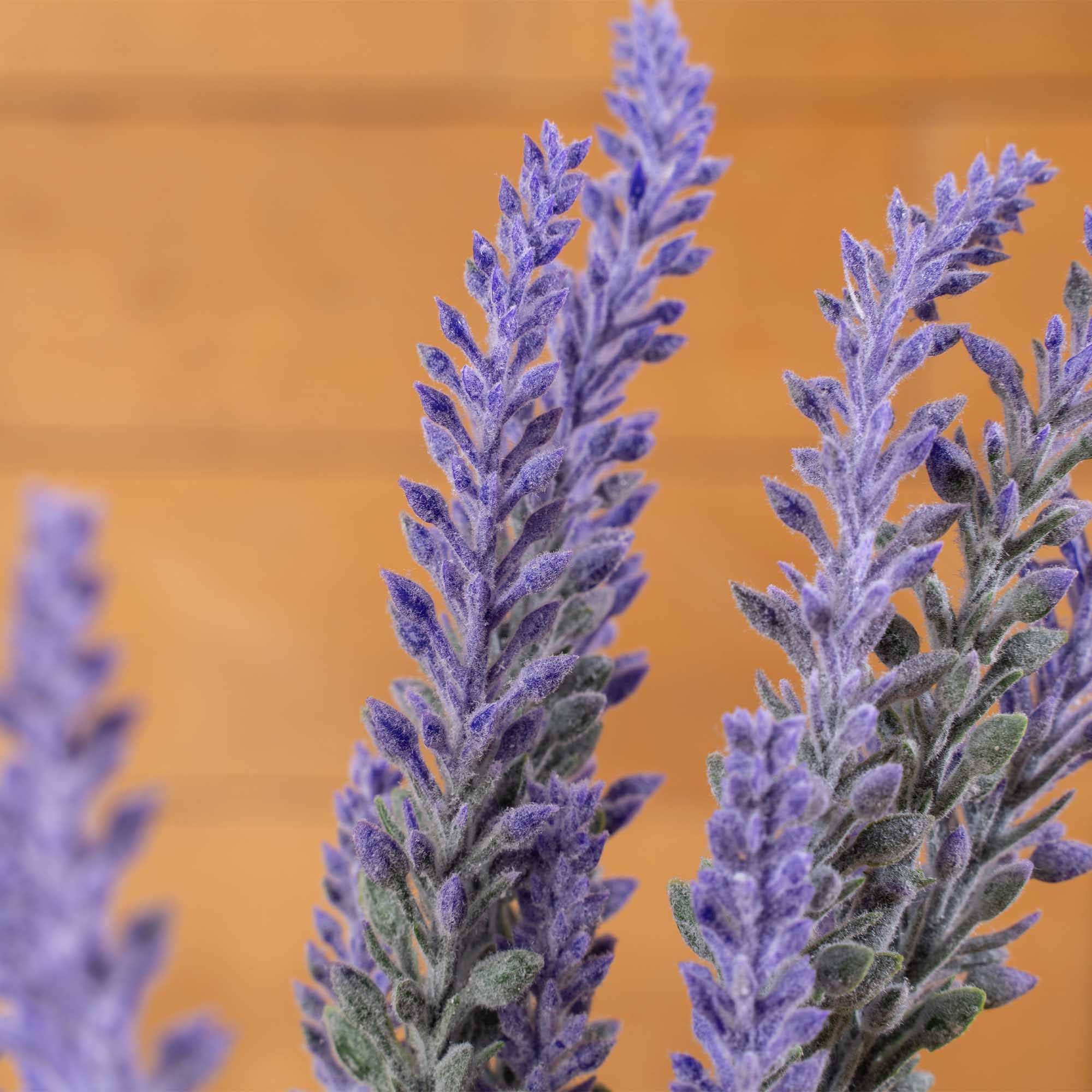 Portofino International Trading, USA - Vente Fleurs artificielles - Spray à la lavande artificielle3