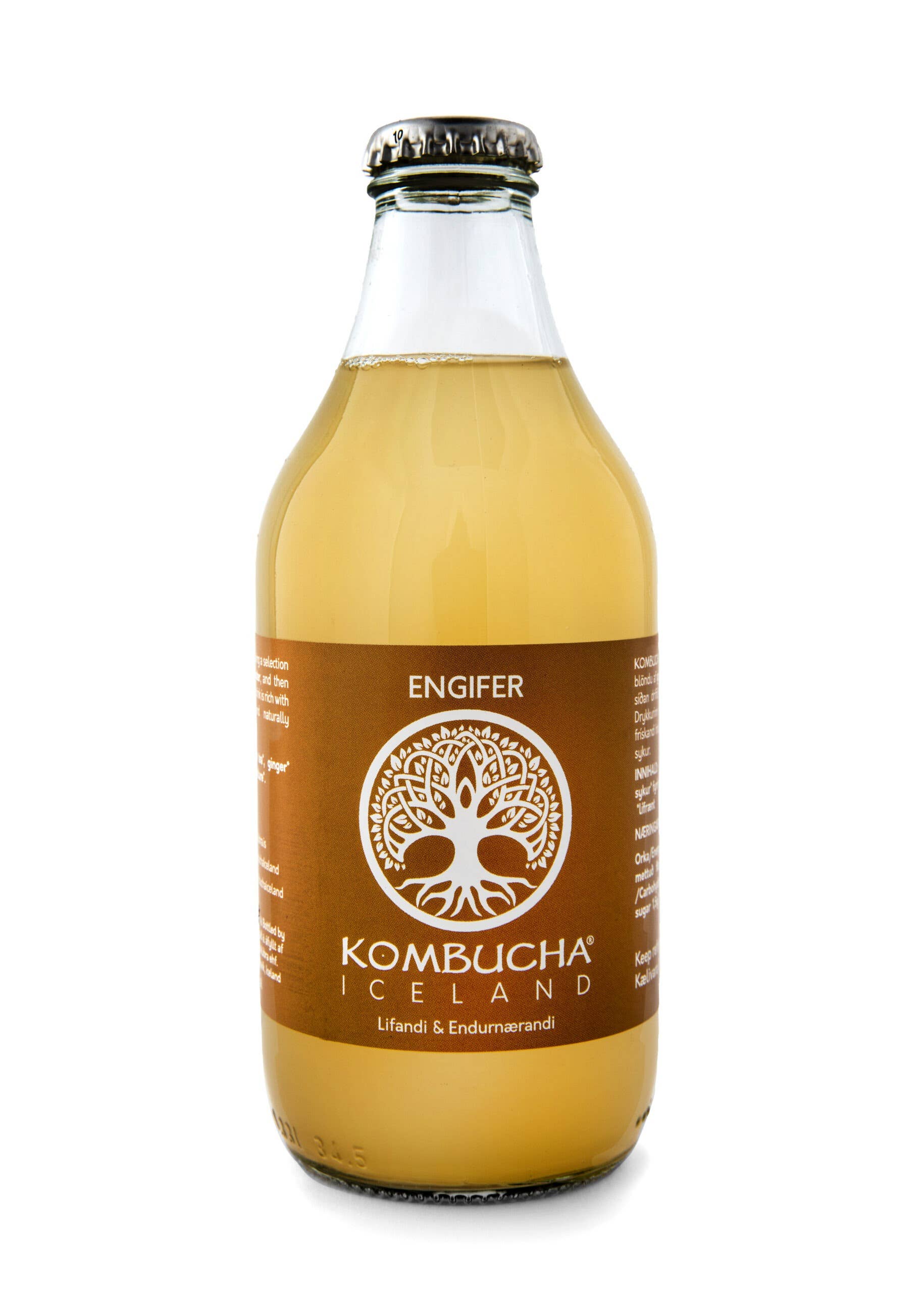 BELIFE DRINKS – Kombucha