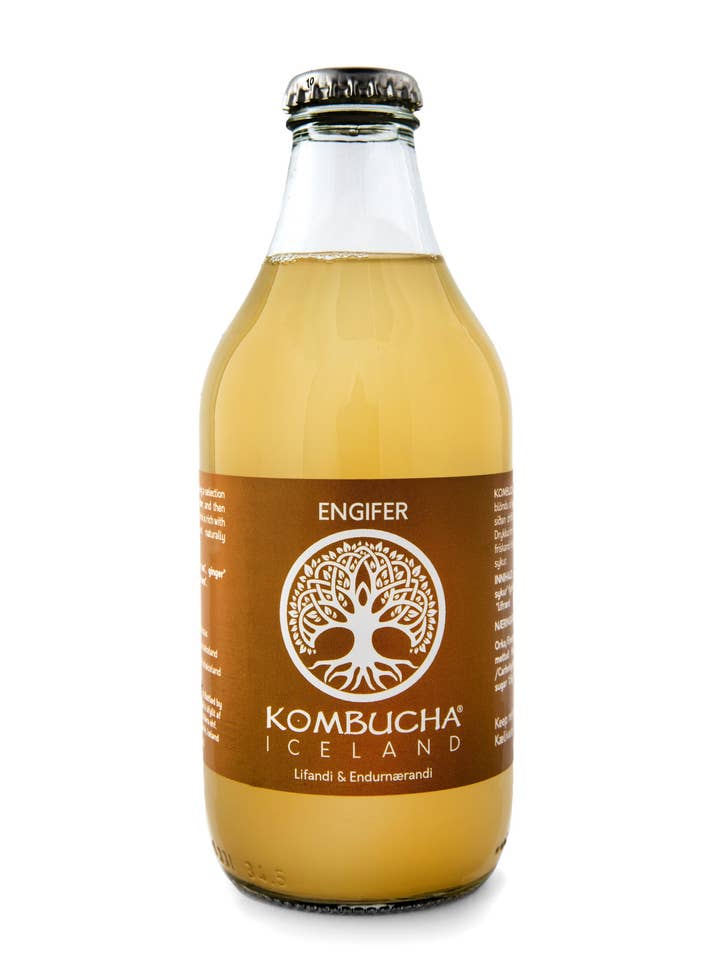 330 ml - Engifer Kombucha Island für den Großhandel von Kombucha Iceland