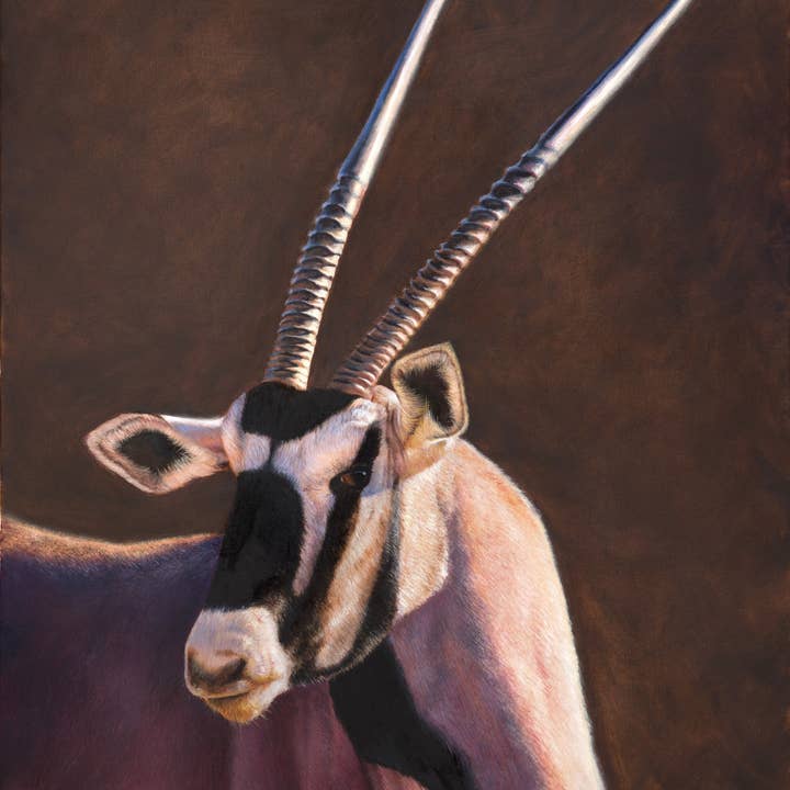 Gemsbok Gem - African Oryx - Impressão de Tela Animal por atacado de James Corwin Fine Art