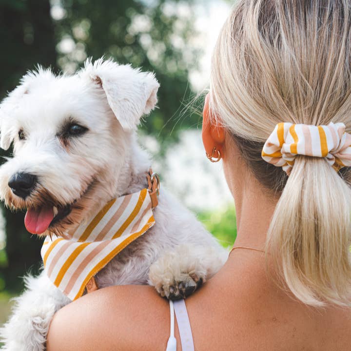 Scrunchie mit Senf-Streifen für den Großhandel von Nuuskin